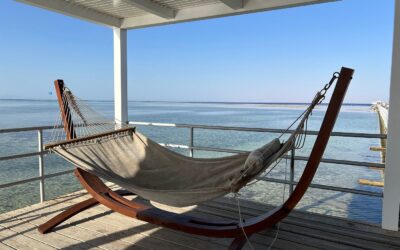 The Hotel Lessons I Never Expected to Learn